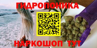 дмт Кимры