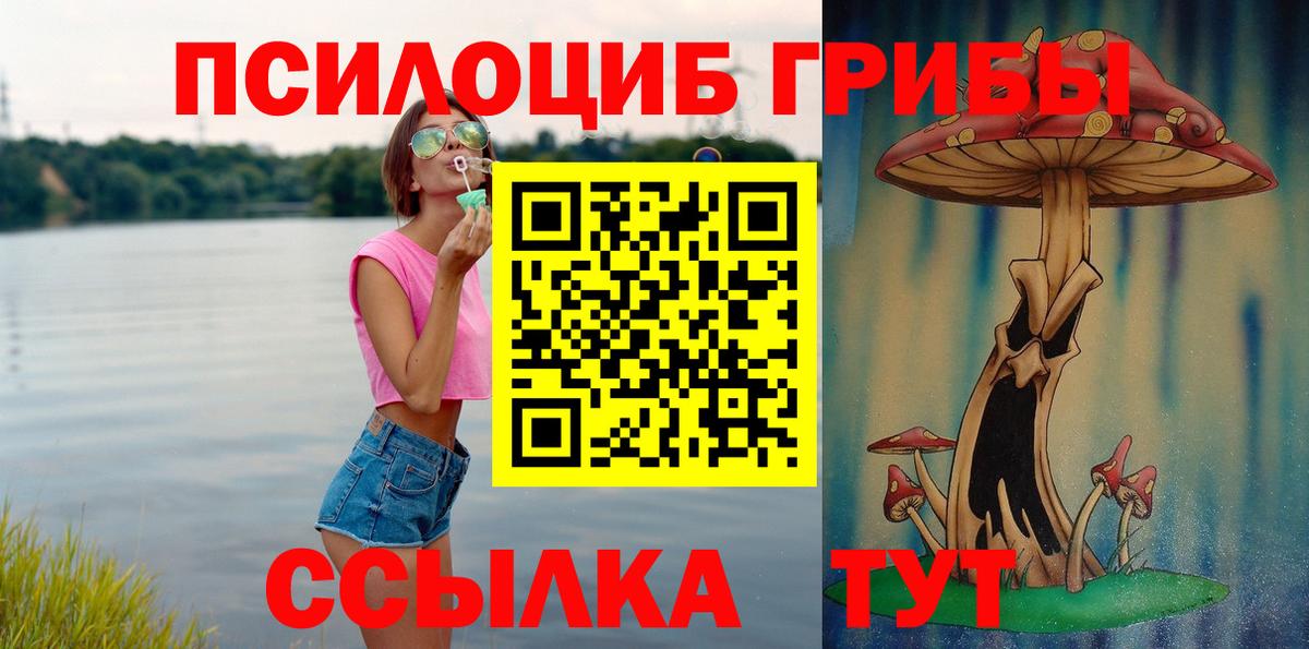 продажа наркотиков  Галлюциногенные грибы прущие грибы  Вход с VPN  Кострома 